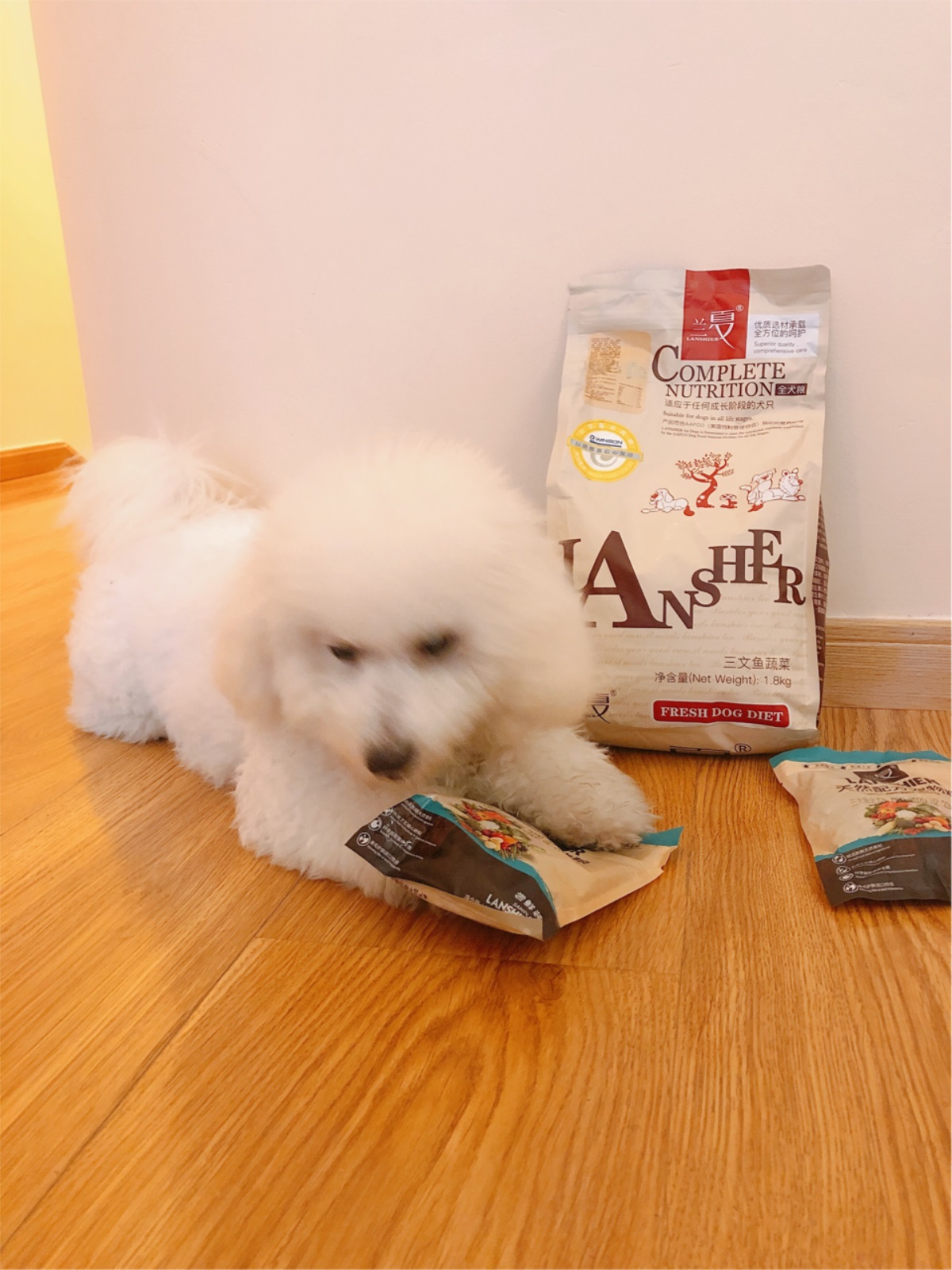 比熊犬吃什么狗粮好-兰夏三文鱼蔬菜粮 比熊犬吃什么狗粮好-兰夏三文鱼蔬菜粮