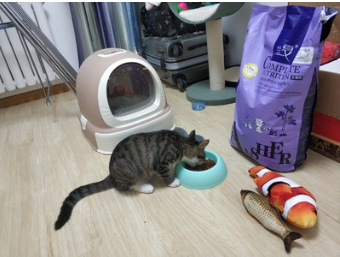 兰夏猫粮 兰夏猫粮